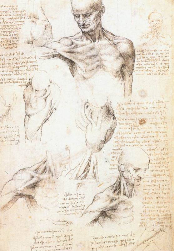 Vinci, Leonardo Da (Леонардо да Винчи).