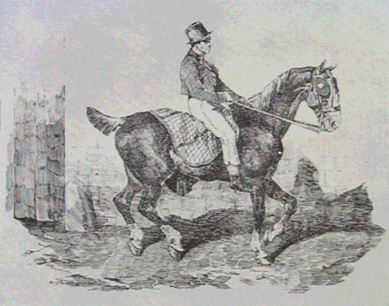В каком произведении был конь. Композиция живопись лошадь. Картины 1820 года.